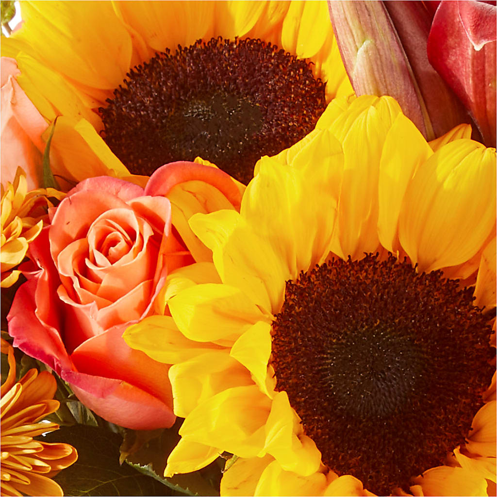 Acorn Lane Bouquet –  Bush Flower Shop, North Augusta SC