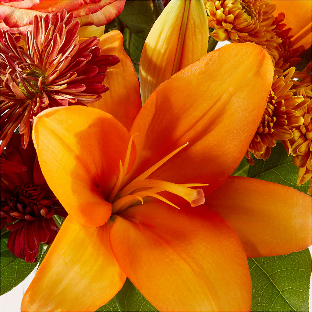 Autumnal Aroma Bouquet –  Bush Flower Shop, North Augusta SC