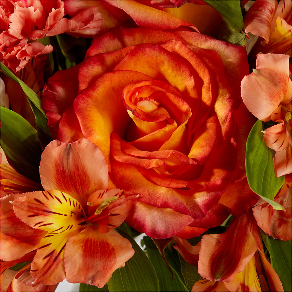 Apricot Glow Bouquet –  Bush Flower Shop, North Augusta SC