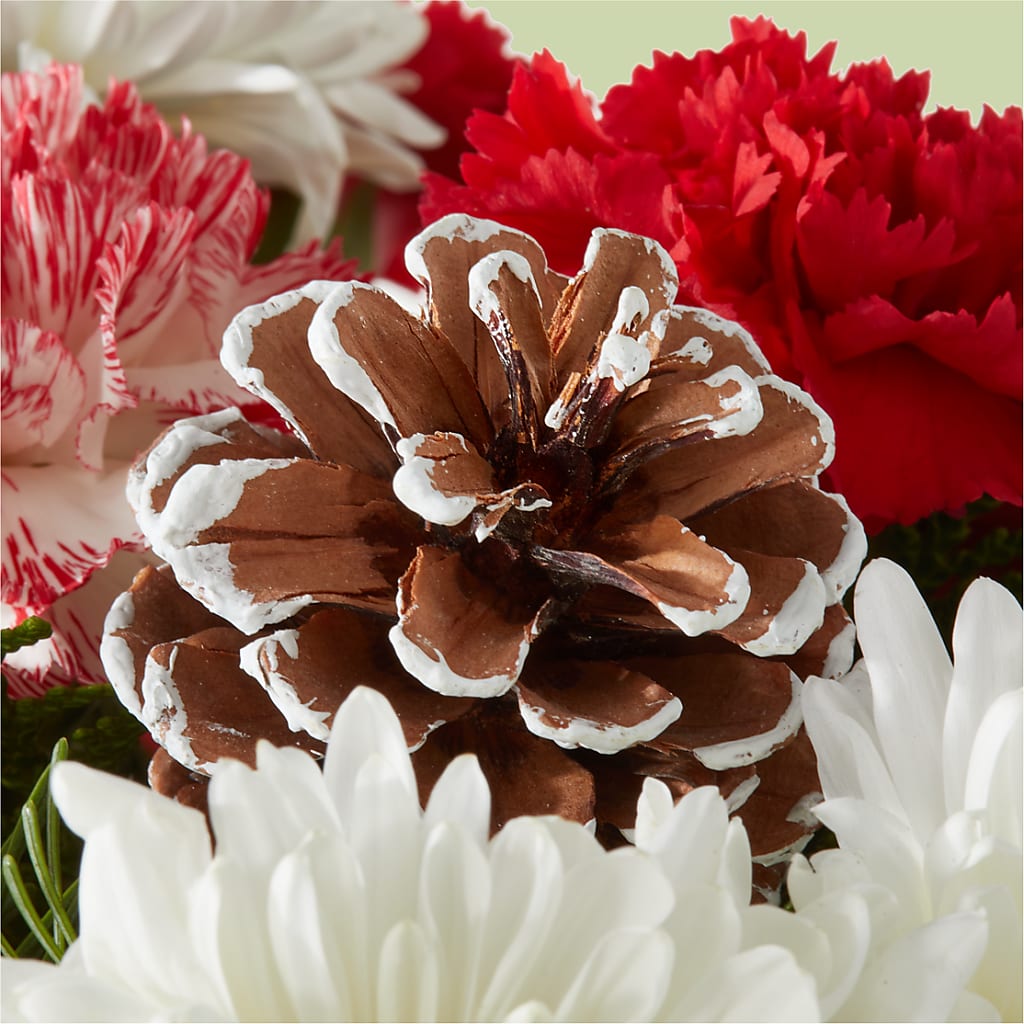 Candy Cane Lane Bouquet –  Bush Flower Shop, North Augusta SC