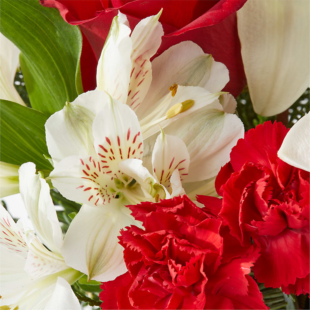 Holiday Season Bouquet –  Bush Flower Shop, North Augusta SC