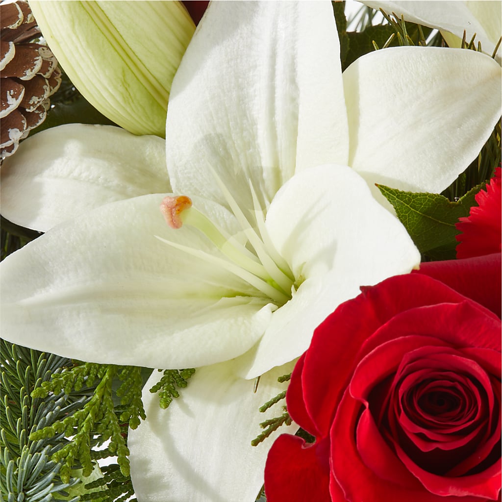 Oh So Jolly Bouquet –  Bush Flower Shop, North Augusta SC