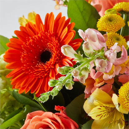 Autumn Sunshine Bouquet –  Bush Flower Shop, North Augusta SC
