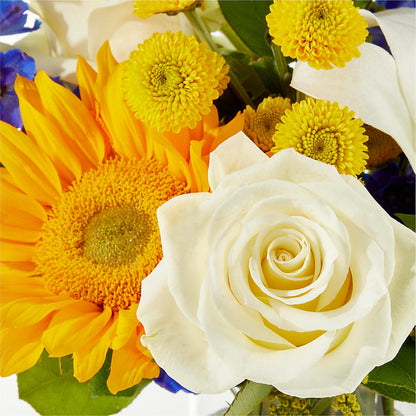 Stargazing Bouquet –  Bush Flower Shop, North Augusta SC