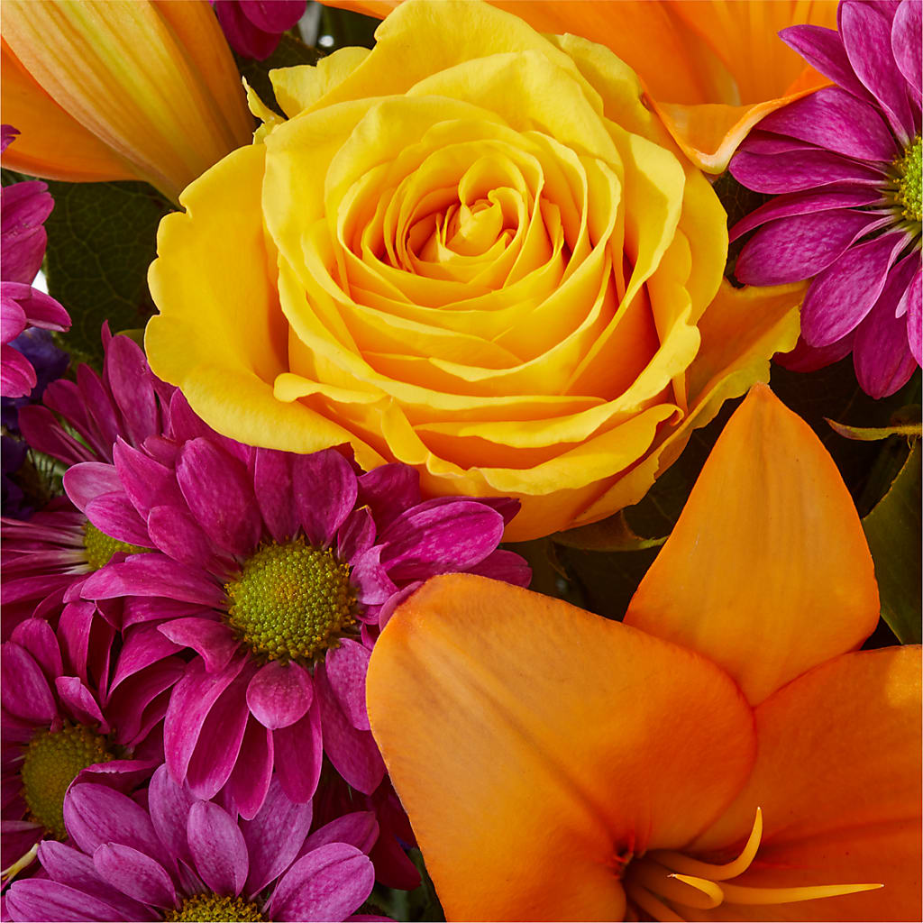 Colorful Visions Bouquet –  Bush Flower Shop, North Augusta SC