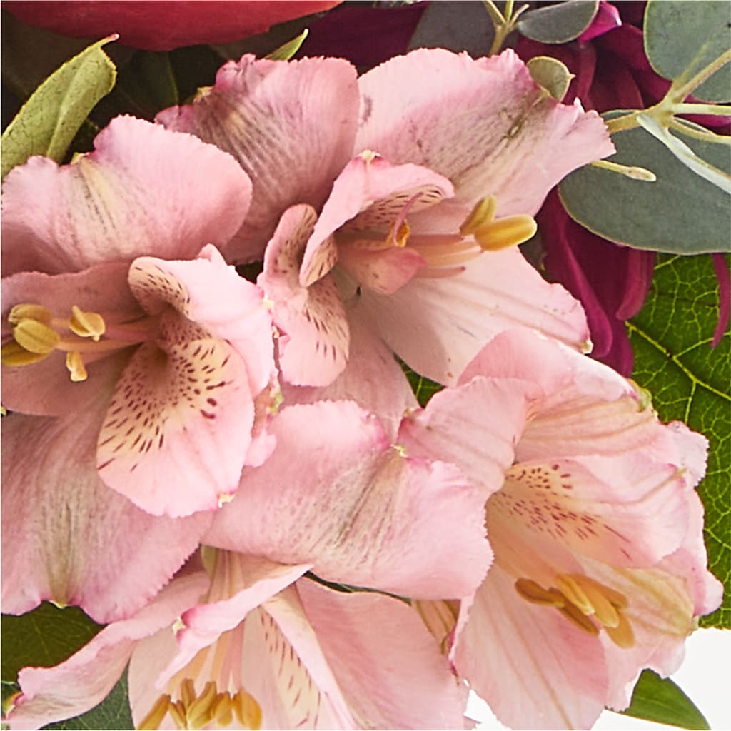 Berry Cobbler Bouquet –  Bush Flower Shop, North Augusta SC