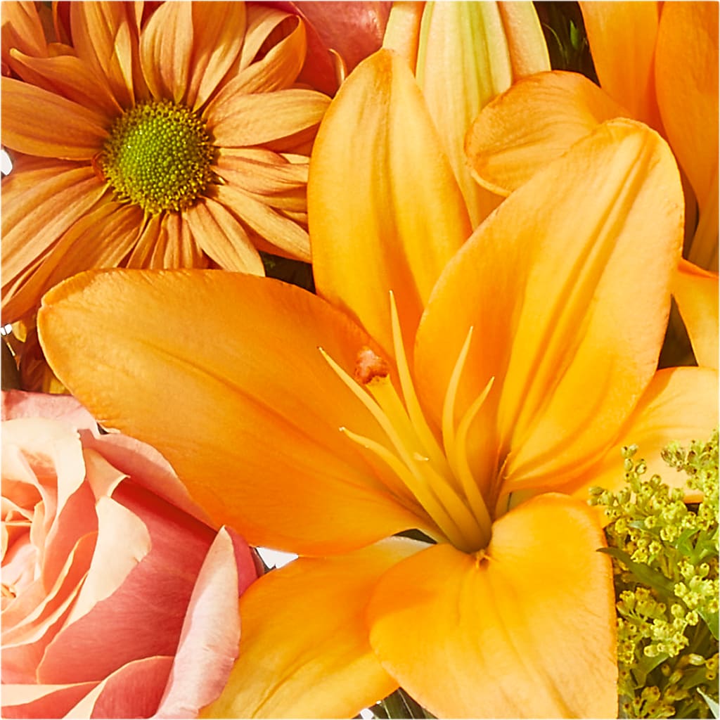 Harvest Hayride Bouquet –  Bush Flower Shop, North Augusta SC