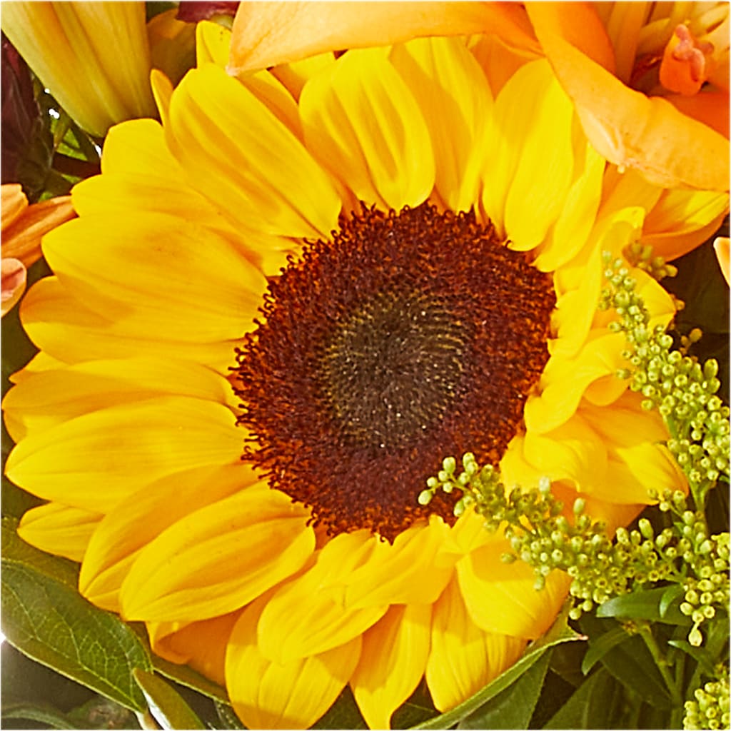 Seasons Change Bouquet –  Bush Flower Shop, North Augusta SC
