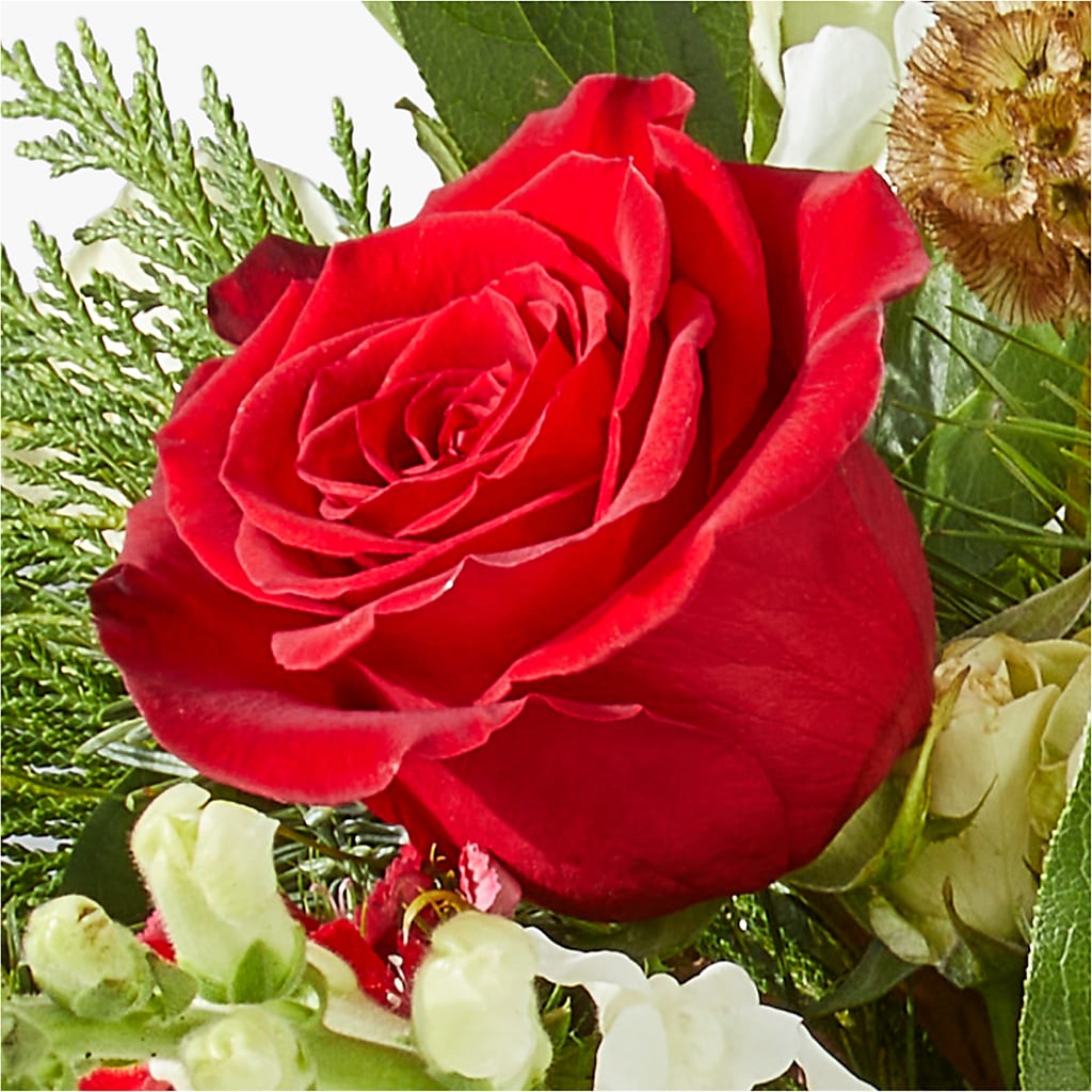 Deck the Halls Bouquet –  Bush Flower Shop, North Augusta SC