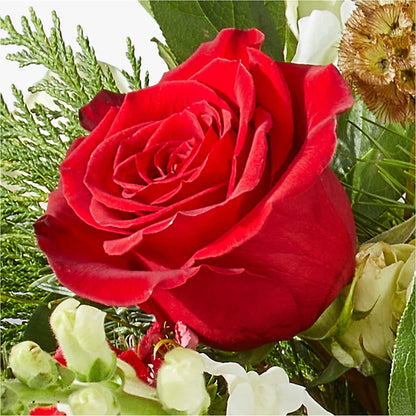 Deck the Halls Bouquet –  Bush Flower Shop, North Augusta SC