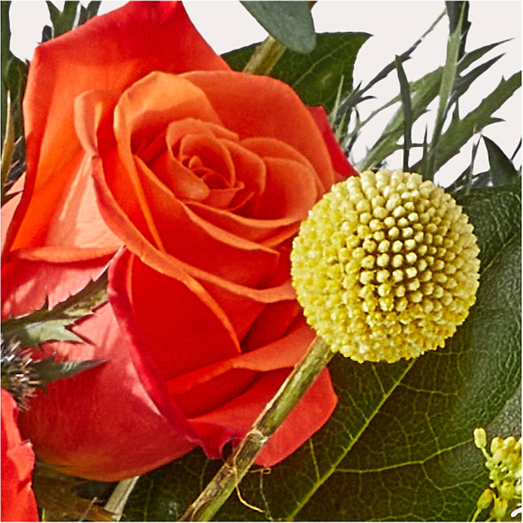 Disco Bouquet –  Bush Flower Shop, North Augusta SC