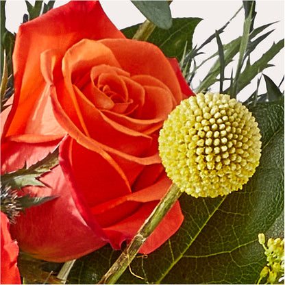 Disco Bouquet –  Bush Flower Shop, North Augusta SC