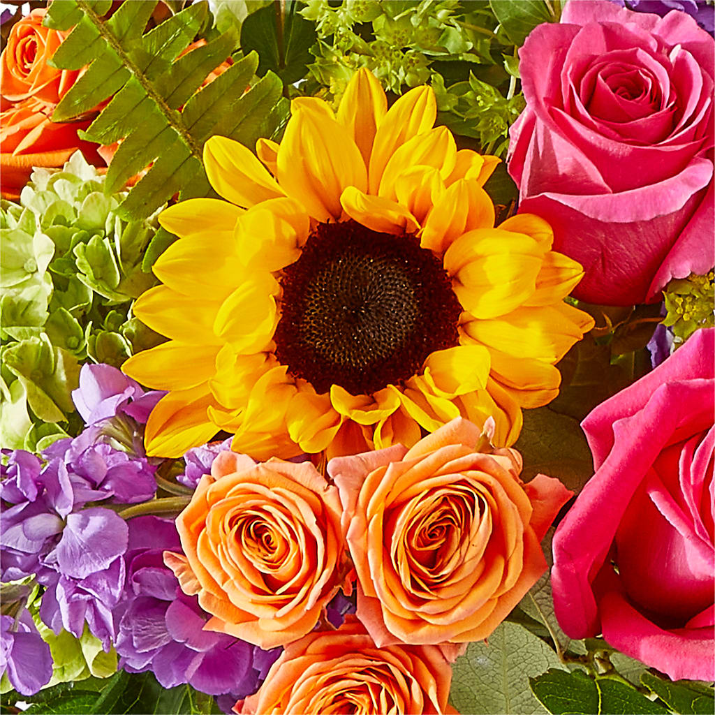 Vibrant Greetings Bouquet –  Bush Flower Shop, North Augusta SC