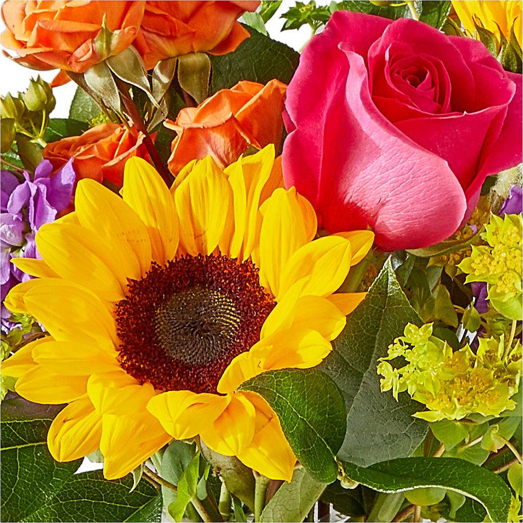 Vibrant Greetings Bouquet –  Bush Flower Shop, North Augusta SC