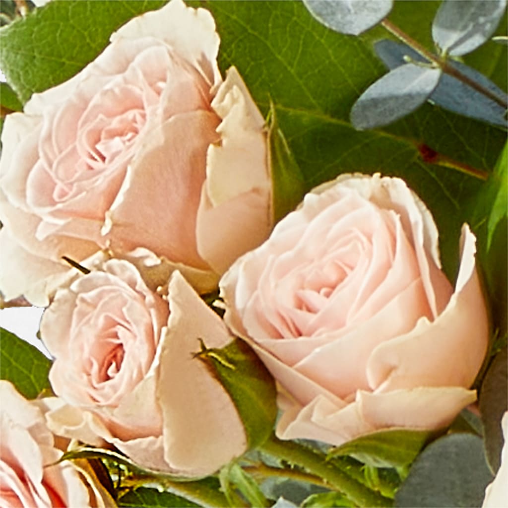 Inspired Bouquet –  Bush Flower Shop, North Augusta SC
