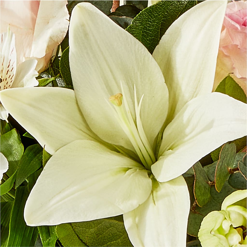 Ballet Slippers Bouquet –  Bush Flower Shop, North Augusta SC