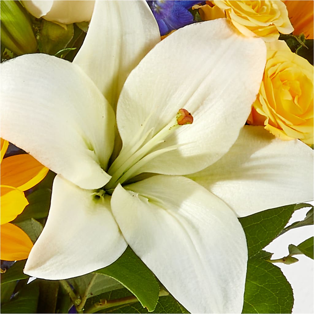 Wonderfully Sunny Bouquet –  Bush Flower Shop, North Augusta SC