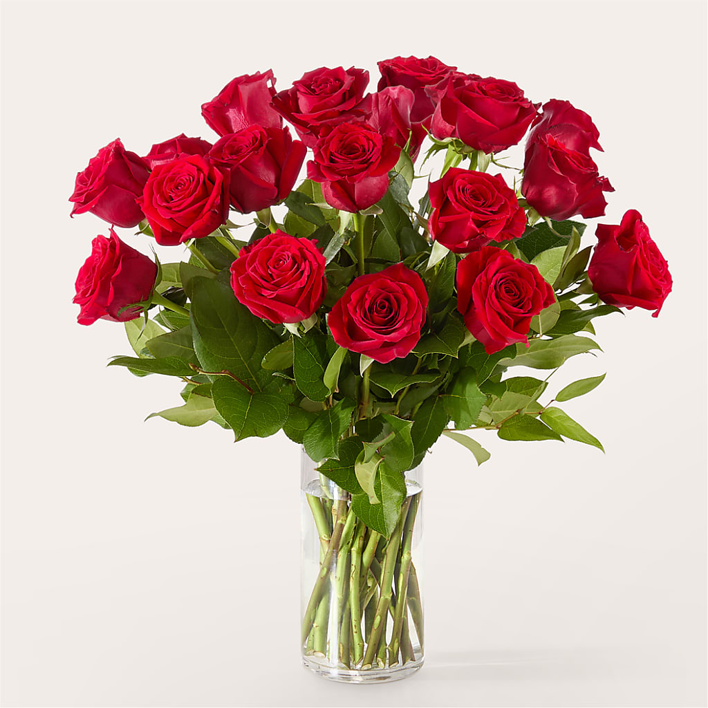 The One Red Rose Bouquet –  Bush Flower Shop, North Augusta SC