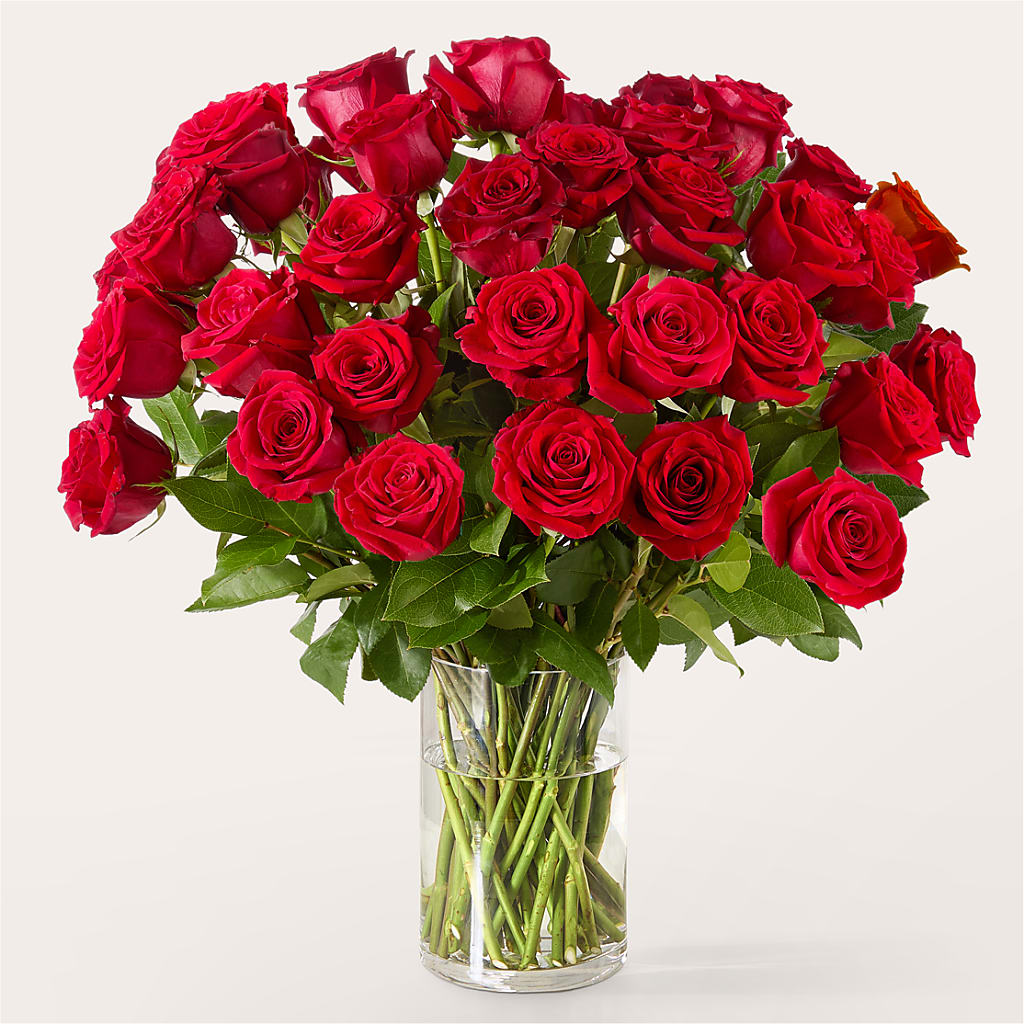 The One Red Rose Bouquet –  Bush Flower Shop, North Augusta SC