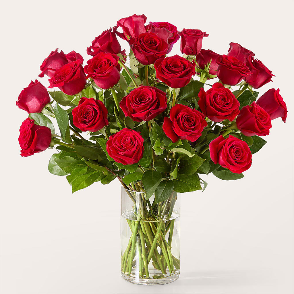 The One Red Rose Bouquet –  Bush Flower Shop, North Augusta SC