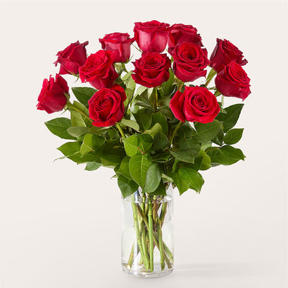 The One Red Rose Bouquet –  Bush Flower Shop, North Augusta SC