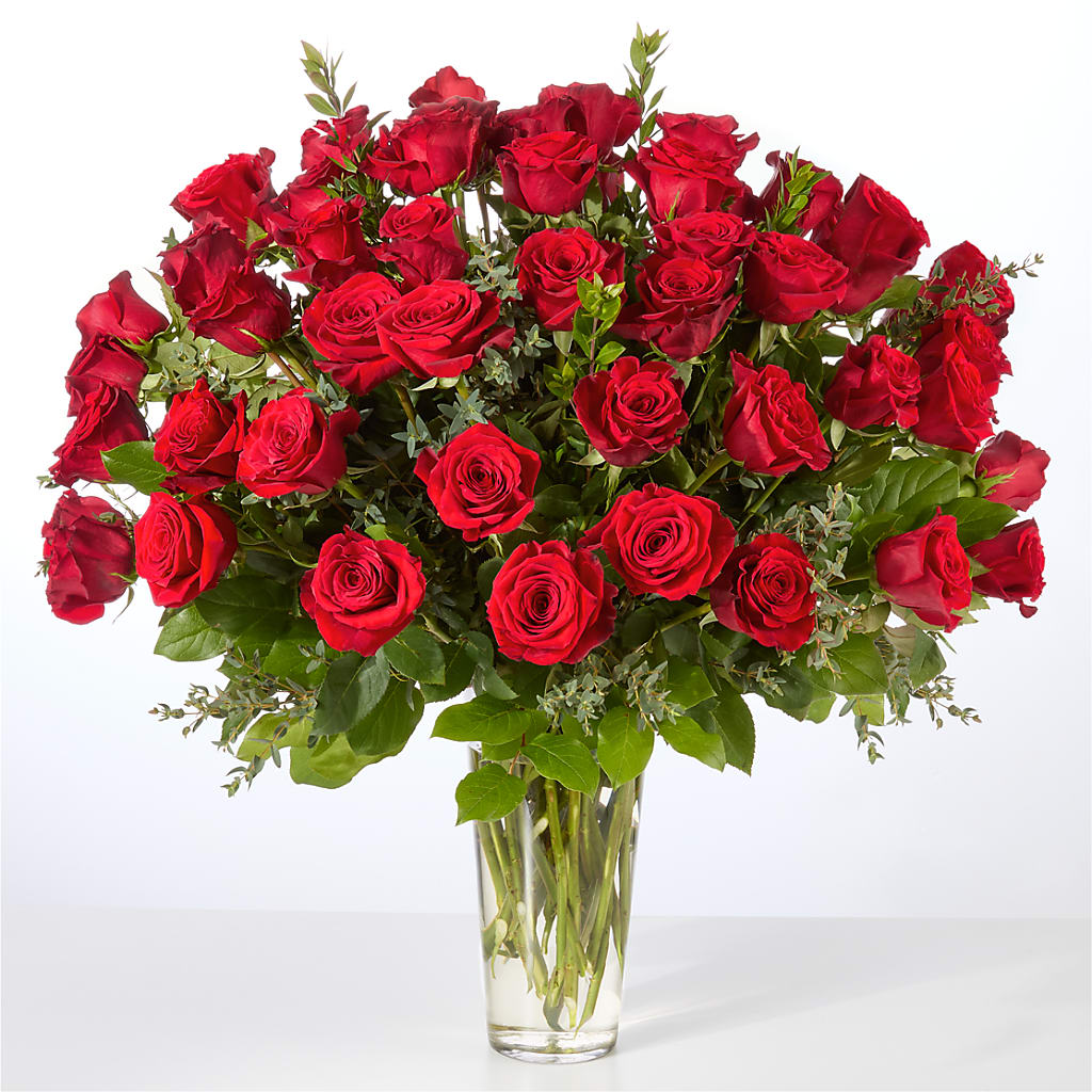 Forever Yours Fifty Stem Red Rose Bouquet –  Bush Flower Shop, North Augusta SC