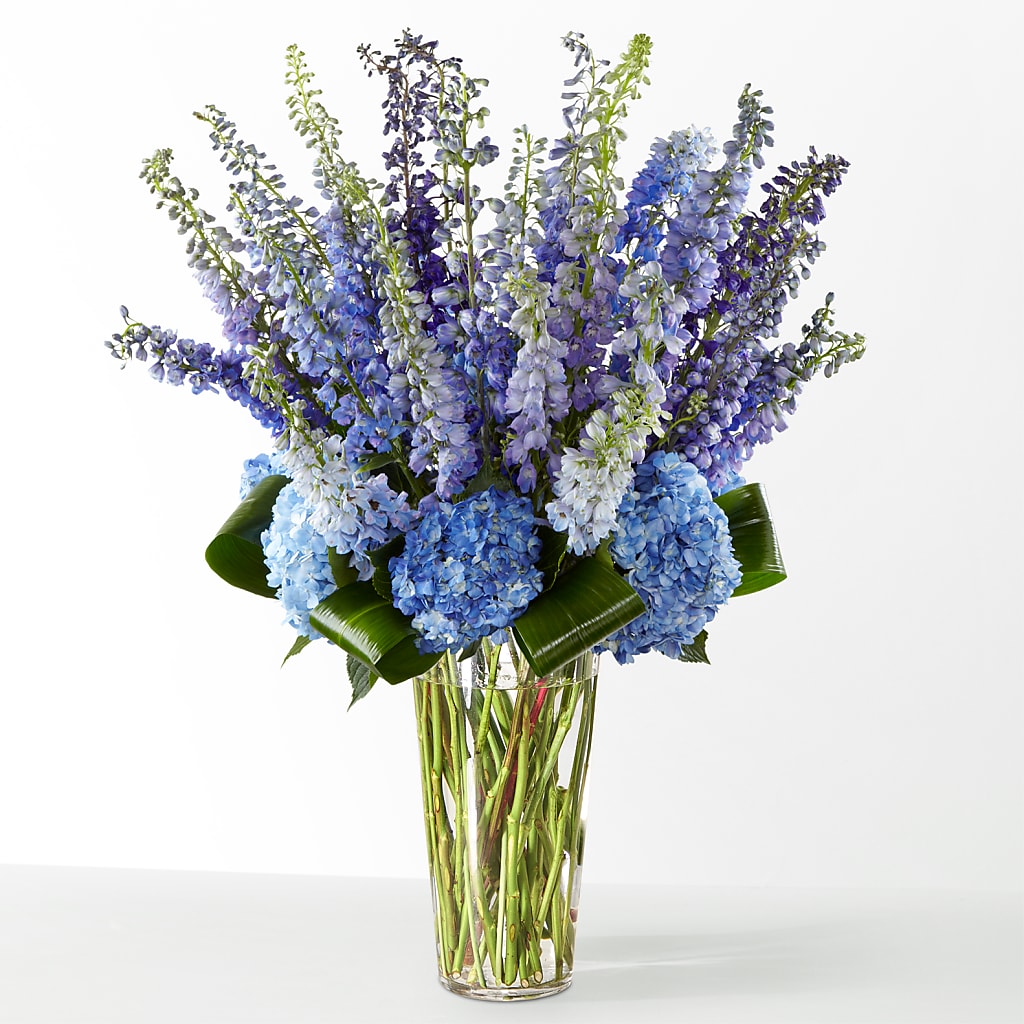 The Editorial –  Bush Flower Shop, North Augusta SC