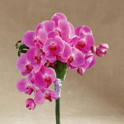Glorious Bouquet –  Bush Flower Shop, North Augusta SC