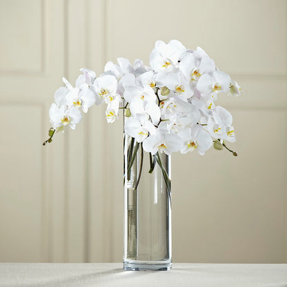 White Phalaenopsis Bouquet –  Bush Flower Shop, North Augusta SC