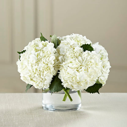 White Hydrangea Bouquet –  Bush Flower Shop, North Augusta SC