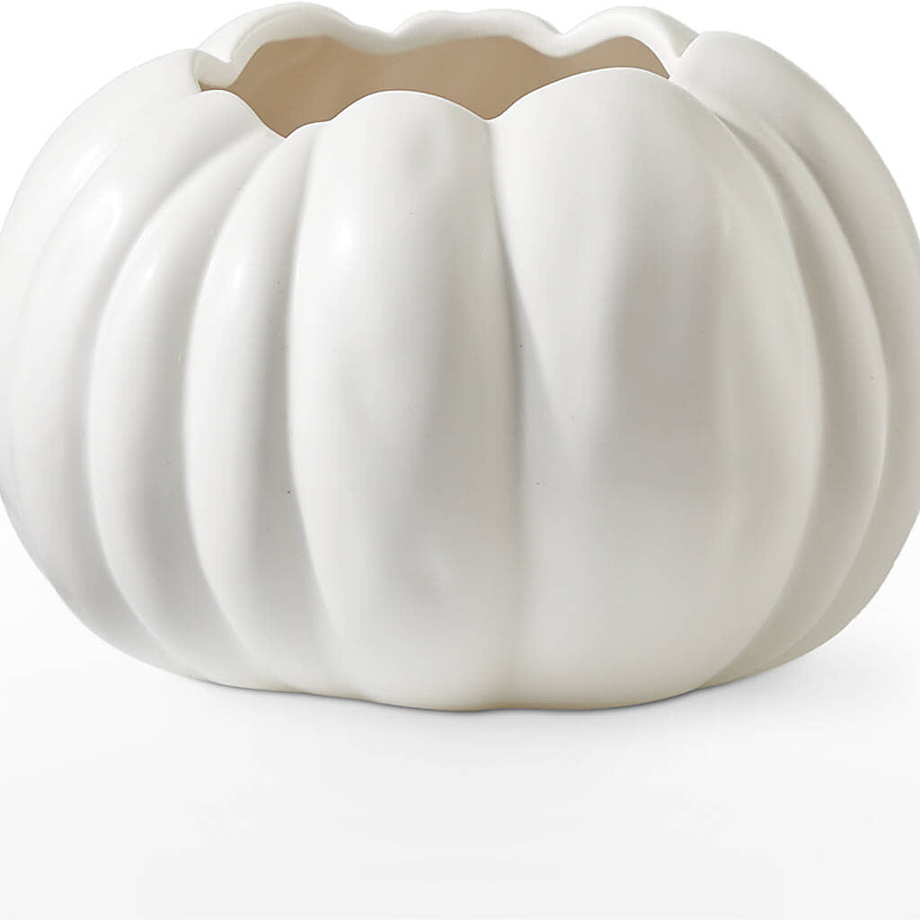 Pumpkin to Talk About Bouquet –  Bush Flower Shop, North Augusta SC